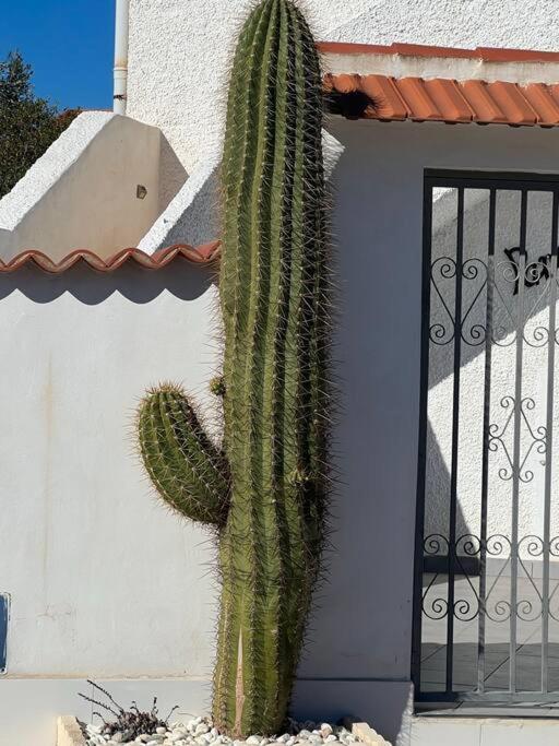 Club Salino 18 Daire Torrevieja Dış mekan fotoğraf