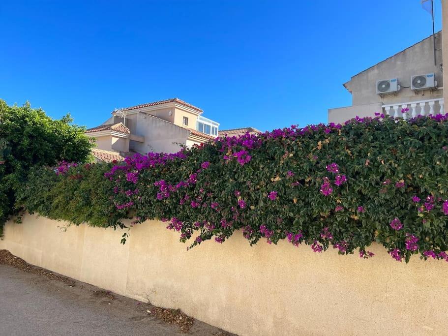Club Salino 18 Daire Torrevieja Dış mekan fotoğraf