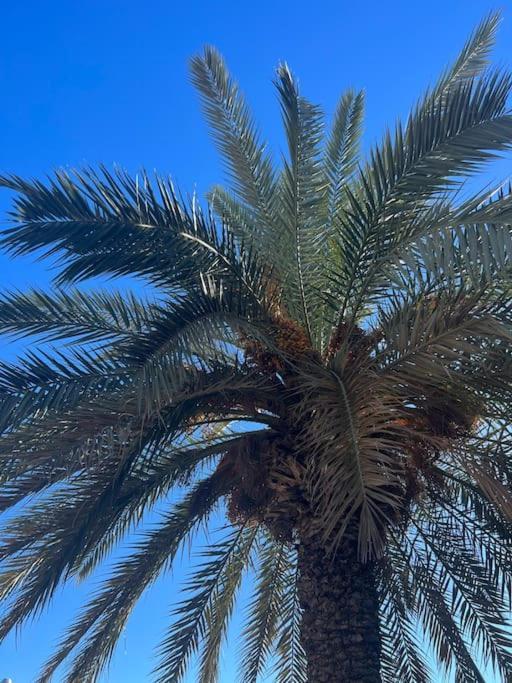 Club Salino 18 Daire Torrevieja Dış mekan fotoğraf